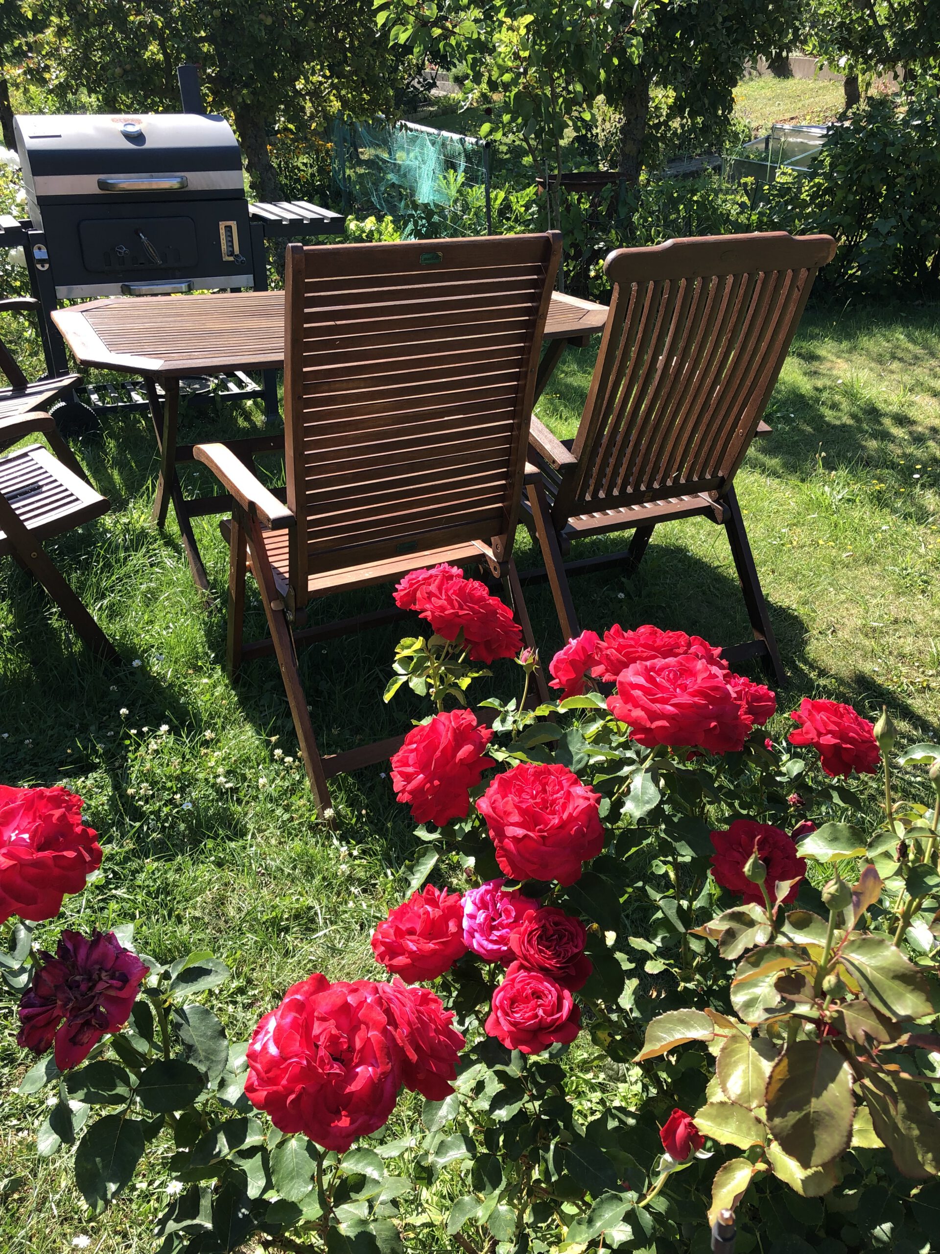 Sitzplatz in einer unser Gärten Sparte am Bodden